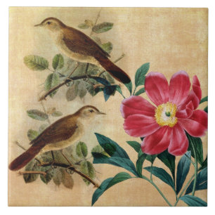 Carreau Pivoine avec des rossignols
