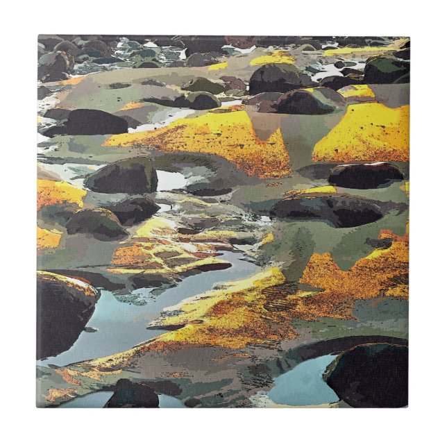 CARREAU PLAGE (Devant)