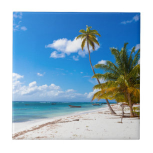 Carreau Plage à Saona République dominicaine