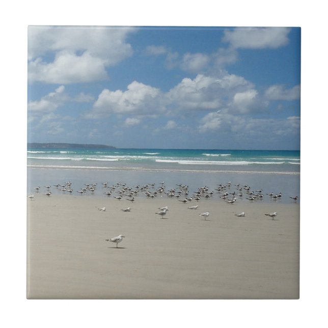 Carreau Plage avec mouettes (Devant)