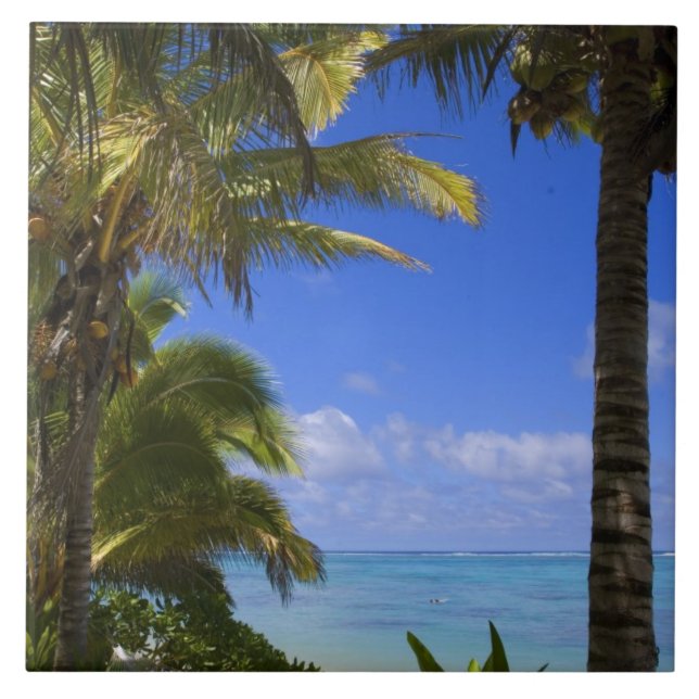 Carreau Plage bordée de palmiers Îles Cook 2 (Devant)