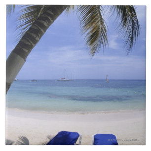 Carreau Plage, chaise longue, palmier, horizon plus de