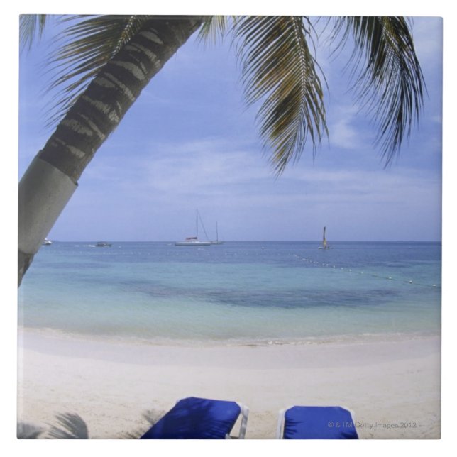 Carreau Plage, chaise longue, palmier, horizon plus de (Devant)