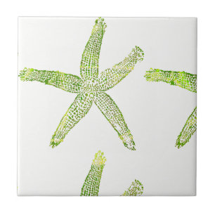 Carreau Plage côtière de Starfish Gris Vert Blanc Moderne