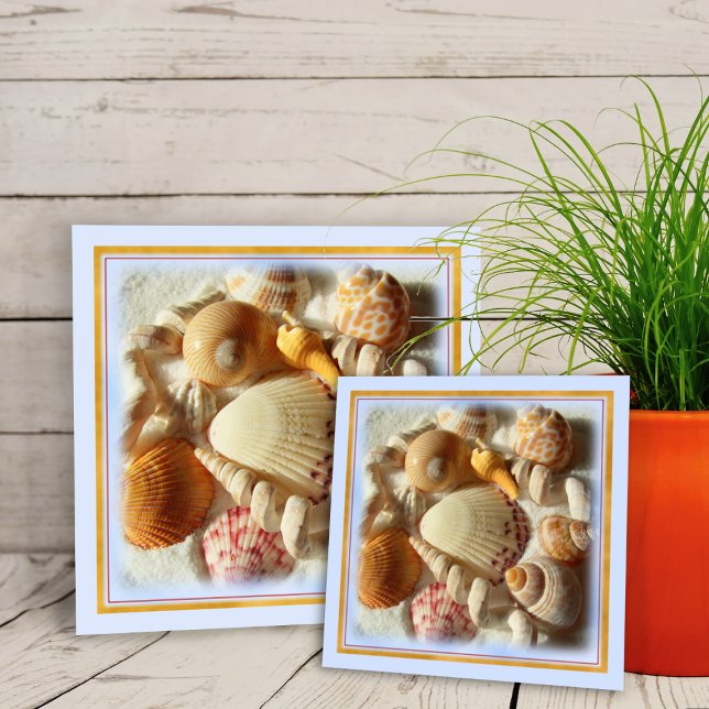 Carreau Plage de sable, Coquillages Tropicaux Carrelage cé (Créateur téléchargé)