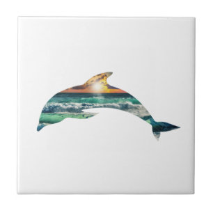 Carreau Plage de Sunset Dolphin