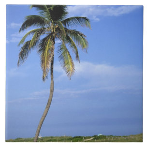 Carreau Plage du sud, Miami Beach, la Floride, Etats-Unis