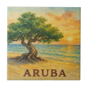 Carreau Plage Eagle Aruba Divi Tree Heure dorée