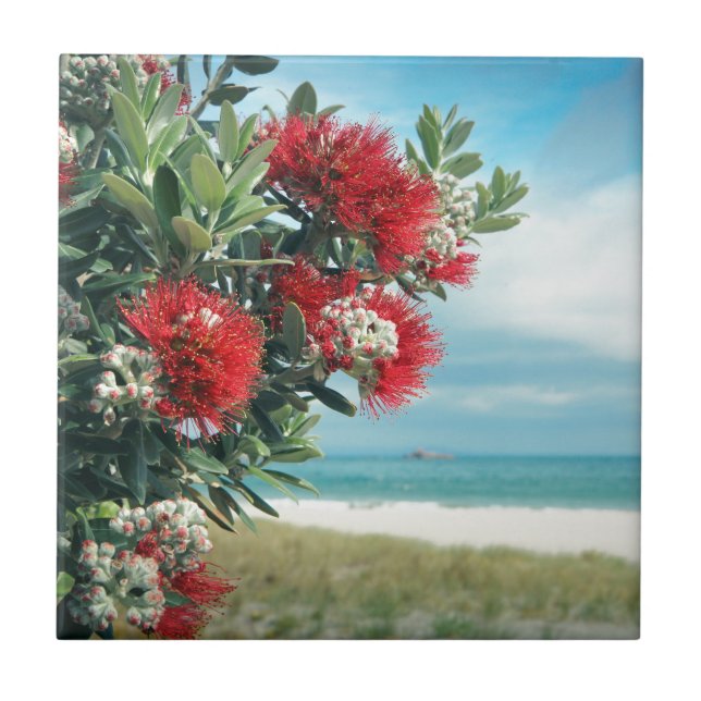 Carreau Plage paradisiaque de fleurs rouges Nouvelle-Zélan (Devant)