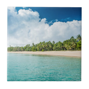 Carreau Plage tropicale bordée de palmiers