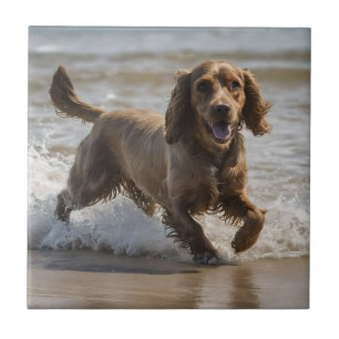 Carreau "Plaisir de bord de mer : Un Cocker Spaniel Play d