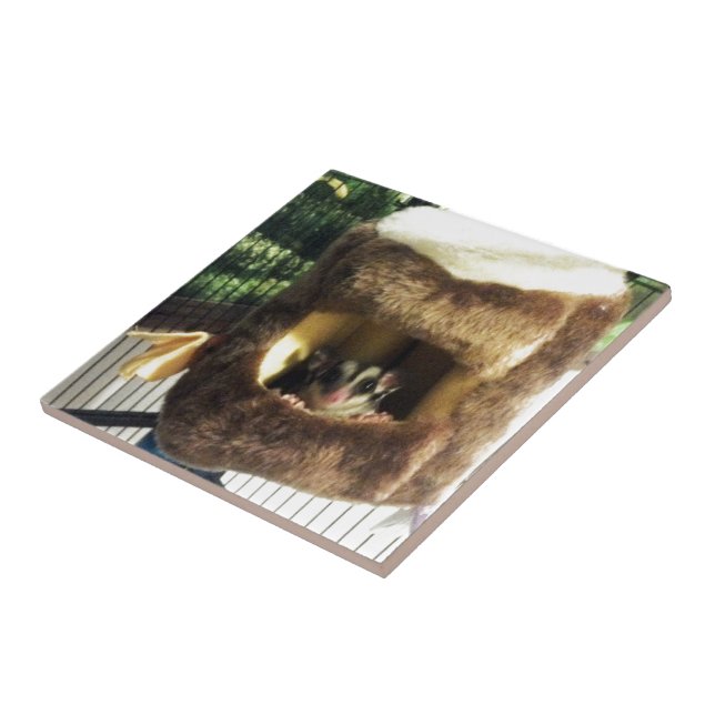 Carreau Planeur à sucre dans le fourrure Truck Hanging Lit (Côté)