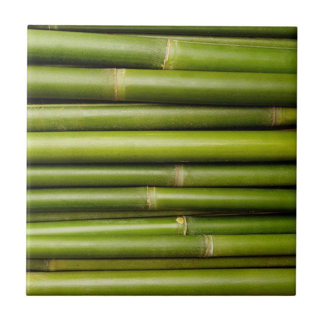 Carreau Plante de bambou vert tropical (Devant)