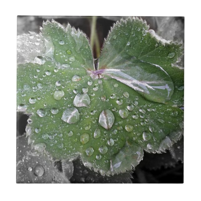 Carreau pluie lourde (Devant)