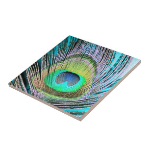 Carreau Plume de paon sur Turquoise