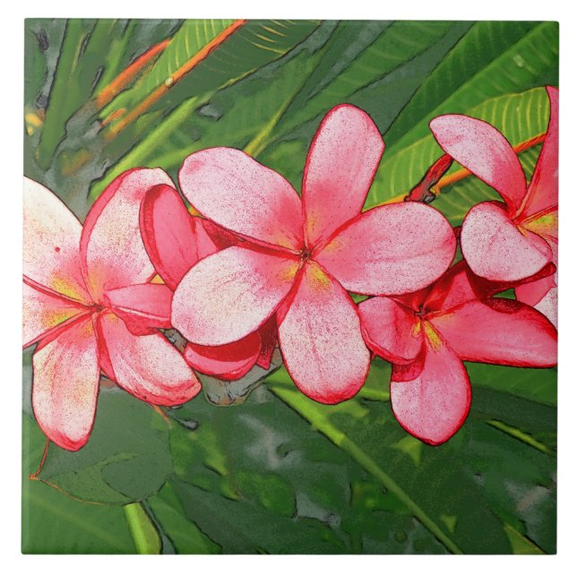 Carreau Plumerias (Devant)