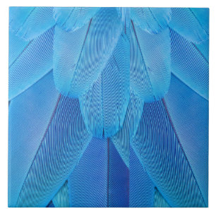 Carreau Plumes bleues turquoises du perroquet de Macaw