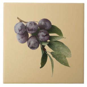 Carreau Plums Botanical~Cuisine ~Choisir N'Importe Quel Ar