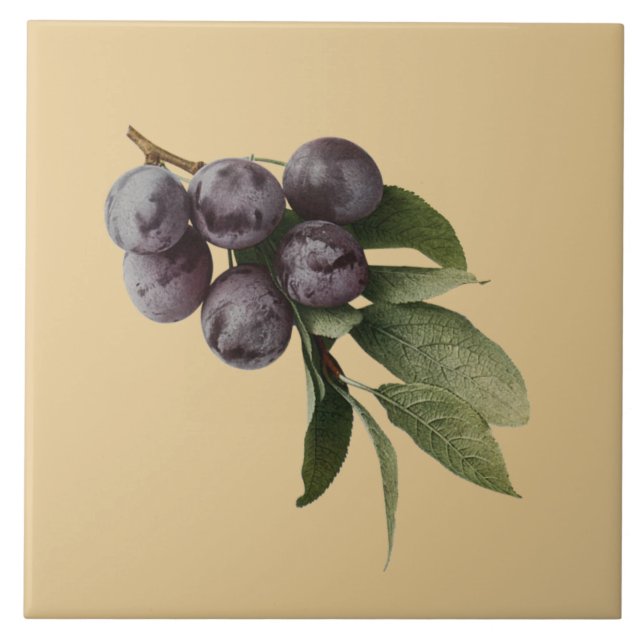 Carreau Plums Botanical~Cuisine ~Choisir N'Importe Quel Ar (Devant)
