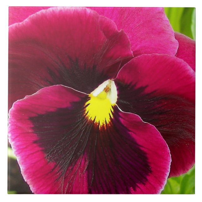 Carreau Plutôt Purple Pansy Floral (Devant)