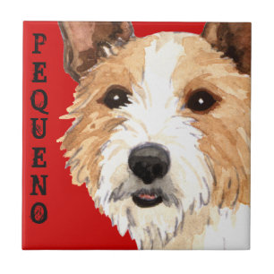 Carreau Podengo Pequeno