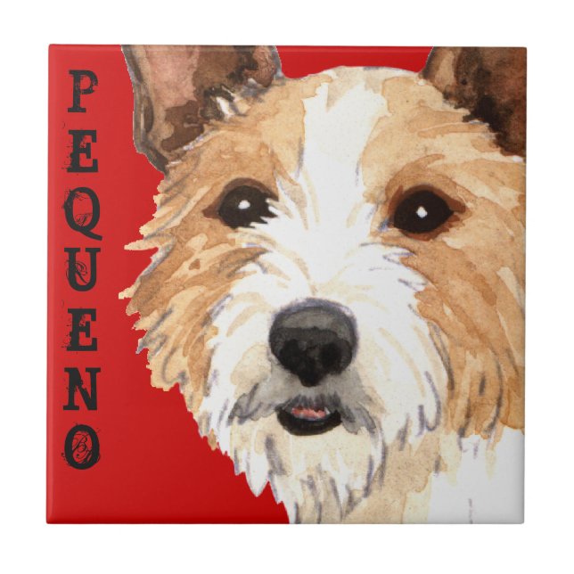 Carreau Podengo Pequeno (Devant)