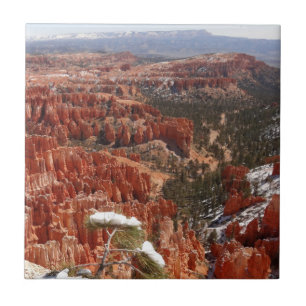 Carreau Point d'inspiration à Bryce Canyon I