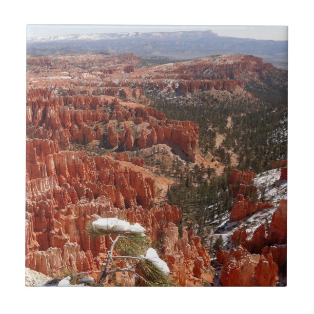 Carreau Point d'inspiration à Bryce Canyon I (Devant)