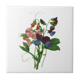 Carreau Pois doux rose bleu et violet par Redoute