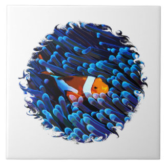 Carreau Poisson-clown dans un anémone