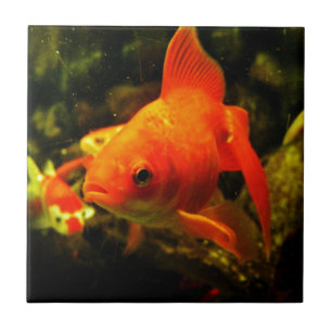 Carreau Poisson doré