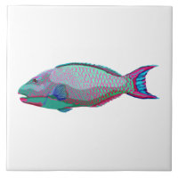 Poisson perroquet