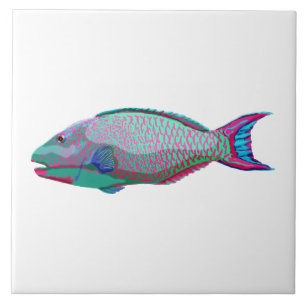Carreau Poisson perroquet