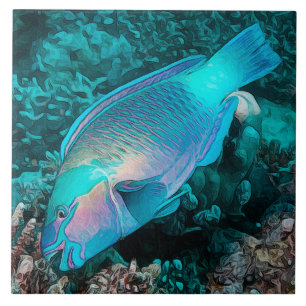 Carreau Poisson-perroquets Corail coloré récif Poisson océ