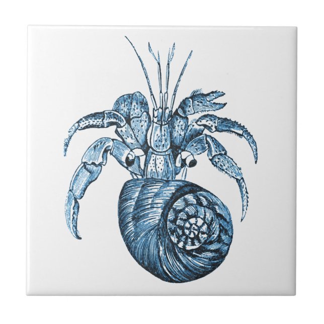 Carreau Poisson plage océan côtier mer mer mer bleu cadeau (Devant)