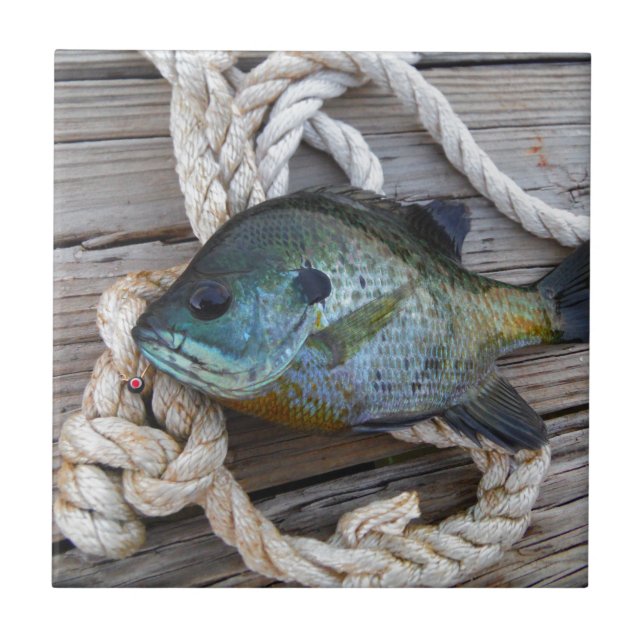 Carreau Poisson rouge sur quai et corde (Devant)
