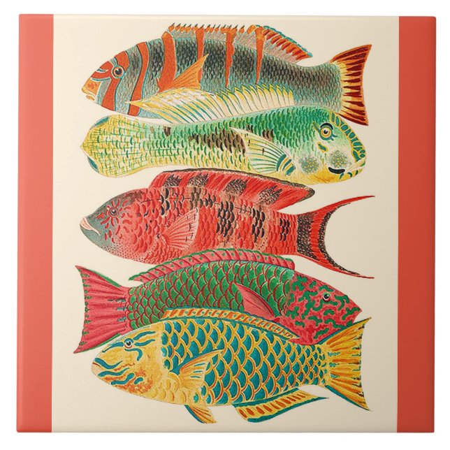 Carreau Poisson tropical Vintage (Devant)
