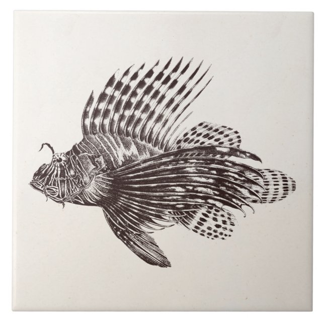 Carreau Poissons 1905 de lion de rascasse de Lionfish de (Devant)