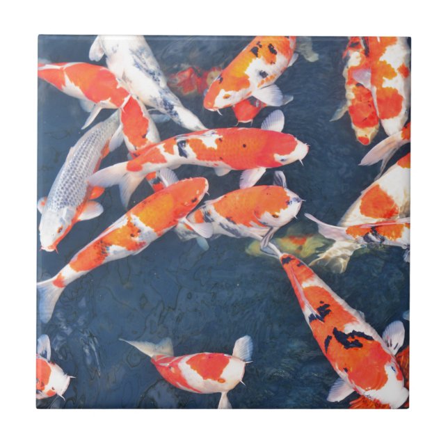 Carreau Poissons de Koi (Devant)