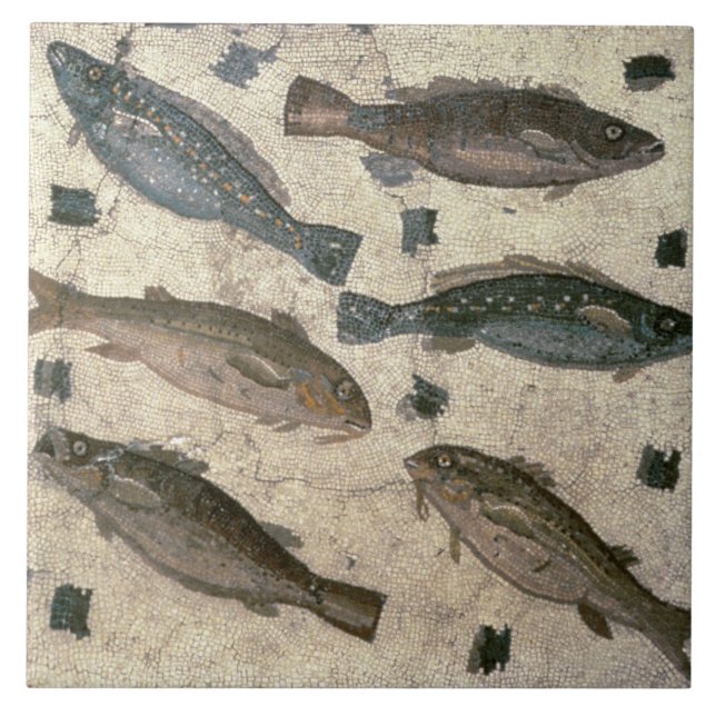 Carreau Poissons (mosaïque) (Devant)