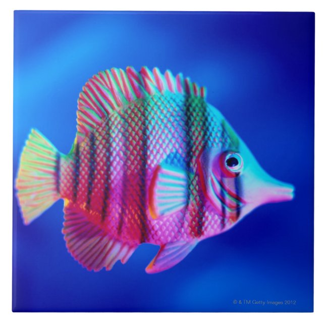 Carreau Poissons tropicaux (Devant)