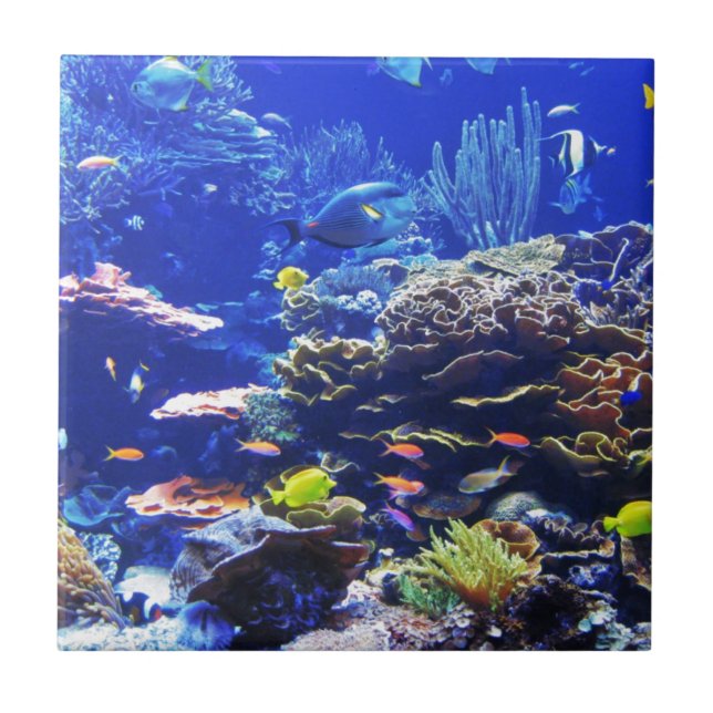 Carreau Poissons tropicaux (Devant)