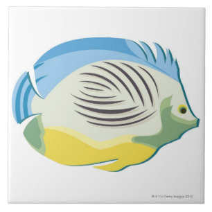 Carreau Poissons tropicaux 2