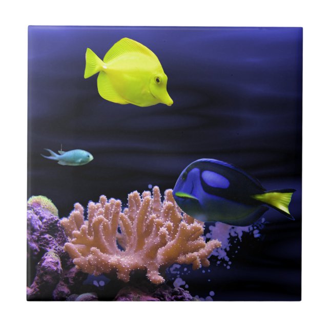 Carreau Poissons tropicaux colorés (Devant)
