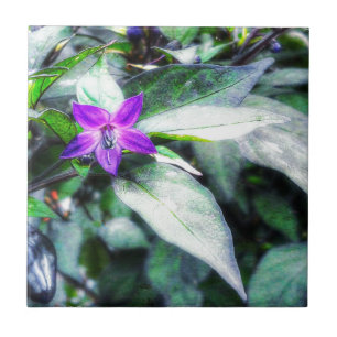 Carreau Poivre ornemental Fleur pourpre