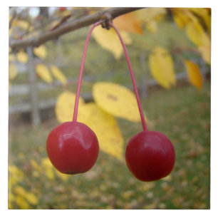 Carreau Pommes de crabe rouge brillant Tile photo