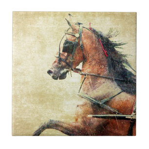 Carreau Poney de Hackney