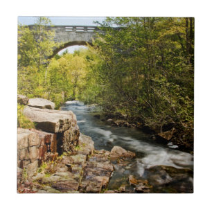 Carreau Pont au-dessus de rivière
