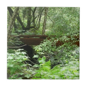Carreau Pont de Muir Woods I