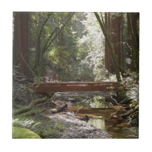 Carreau Pont de Muir Woods II